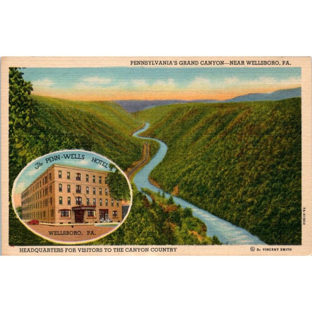 Postcard Vintage Pennsylvania Grand Canyon Near Wellsboro Penn State 5.5x3.5 USA